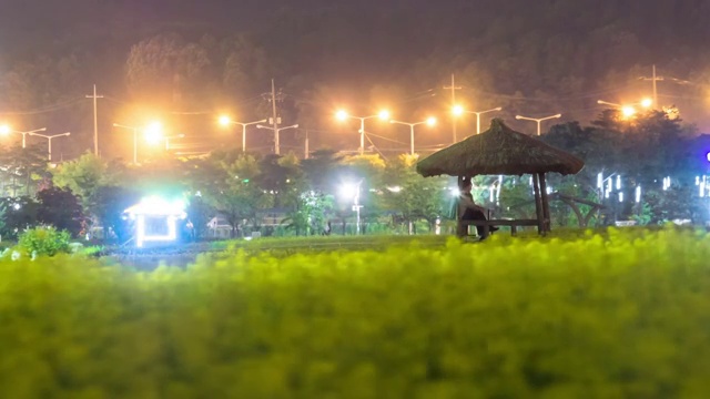 汉港公园夜景，古日寺油菜花田视频素材