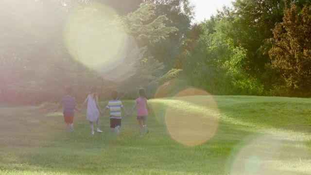 儿童在草坪上玩耍视频下载