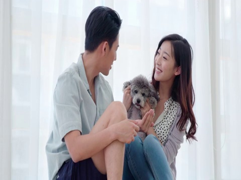 快樂年輕情侶在家和狗玩耍視頻素材