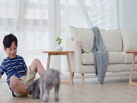 快樂的小男孩在客廳和狗玩耍視頻素材