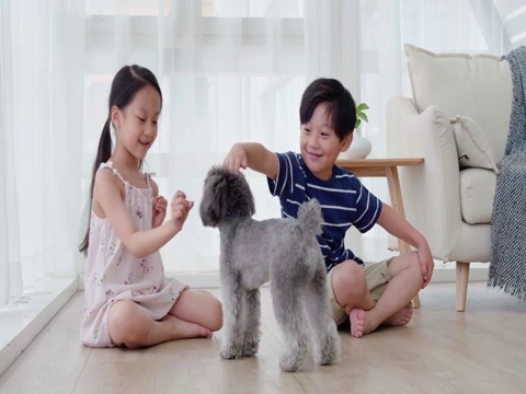 快樂的姐弟倆在客廳和狗玩耍視頻素材