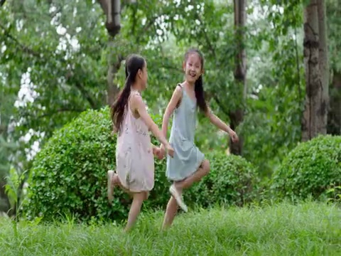 两个小女孩在草地上玩耍视频素材