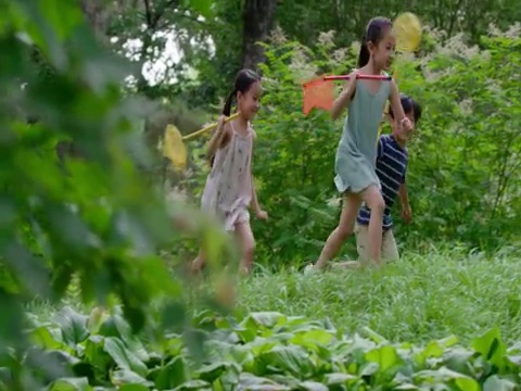 三个孩子在草地玩耍视频素材