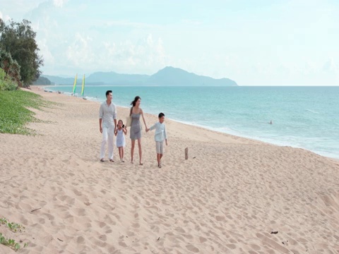 快乐的年轻家庭在沙滩散步视频下载