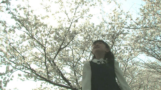 洛杉矶女孩在樱桃树下举起双臂视频素材
