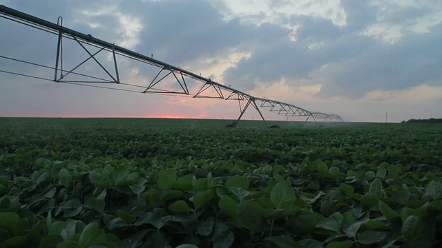 美国堪萨斯州哈维兰，田间大豆种植和傍晚浇水系统的观察视频素材