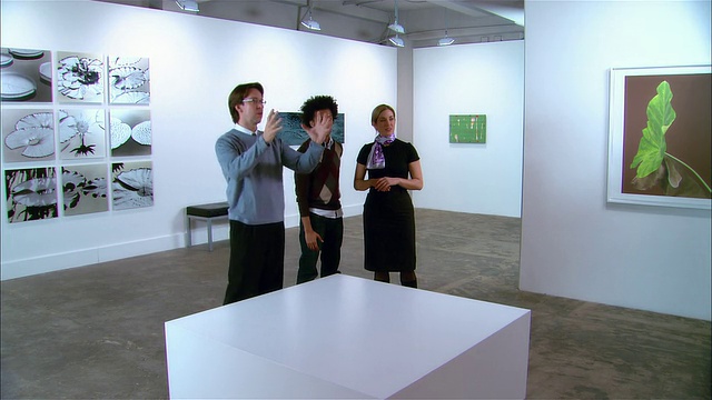 画廊所有者、艺术家、策展人策划当代艺术展览视频下载