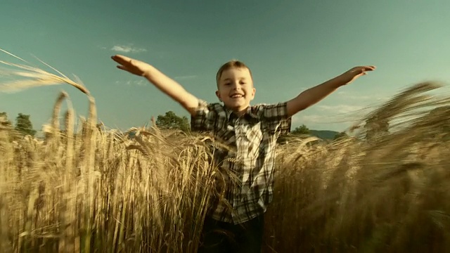 高清慢动作:男孩在小麦赛跑视频素材