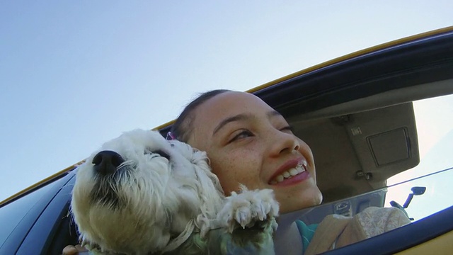 小狗和女孩從車窗探出頭來視頻素材