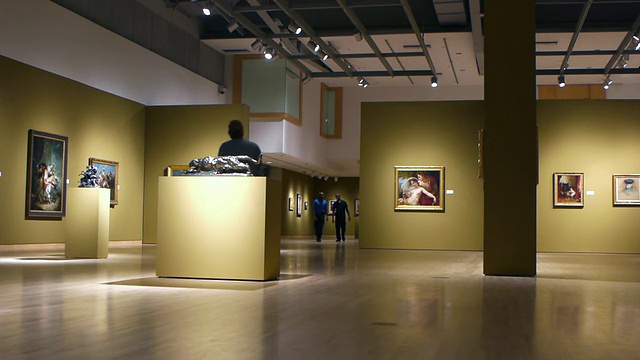 美国亚利桑那州凤凰城艺术博物馆展出了18世纪和19世纪的欧洲绘画和雕塑视频下载