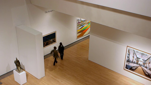美国亚利桑那州凤凰城，艺术博物馆展出现代绘画视频下载