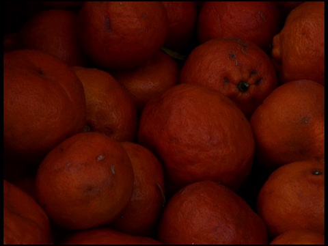 新鲜有机橘子视频素材