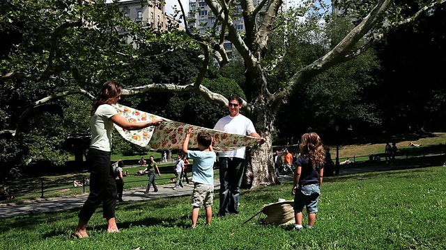 MS Family在美国纽约公园的帆船池塘野餐视频素材