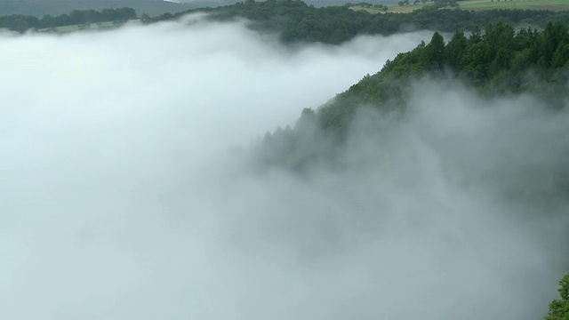 WS T/L德国莱茵兰-普法尔茨森林的雾视图视频素材