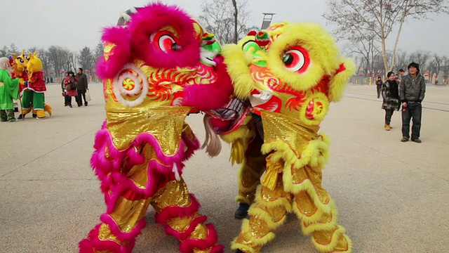 MS TS人们在庙会上表演舞狮庆祝中国春节视频下载