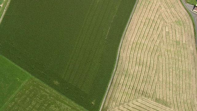 MS AERIAL TU在比利时佛兰德斯的农场景观和房屋视图视频素材