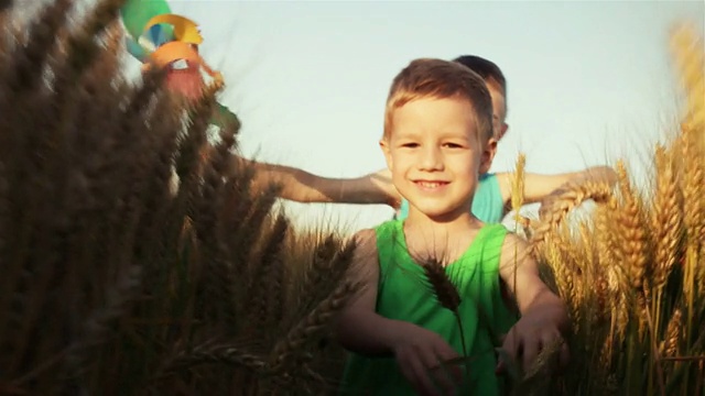小男孩在麦田里奔跑视频素材