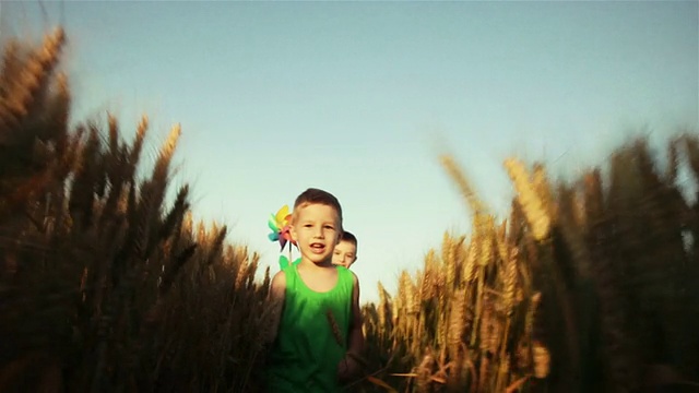 孩子们在小麦中奔跑视频素材