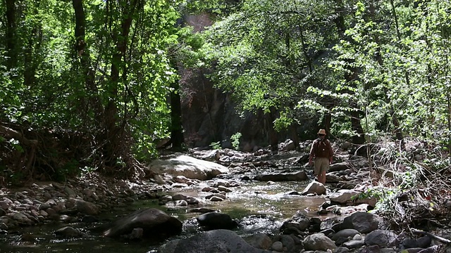 美国新墨西哥州卡特伦市，徒步穿越岩石河的男子视频素材