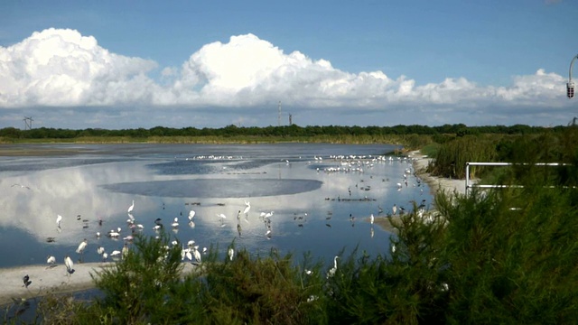 湿地和天空的风景视频下载