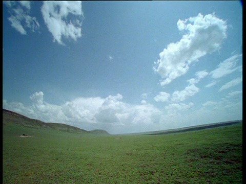 蓬松的云在热带草原的蓝天上翻腾视频下载