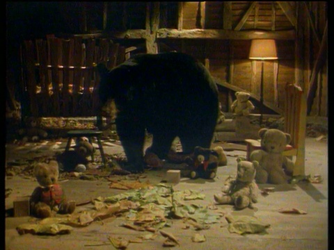 黑熊看了看玩具房里的泰迪熊视频素材