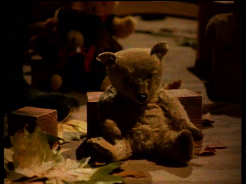在儿童游戏室里，黑熊的爪子从泰迪熊身边走过视频素材