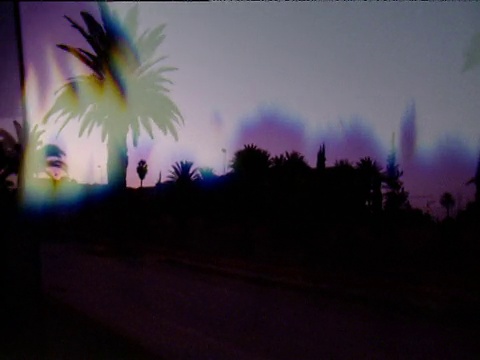 模糊的复视效果跟踪左从汽车过去的剪影和紫色的棕榈树视频素材