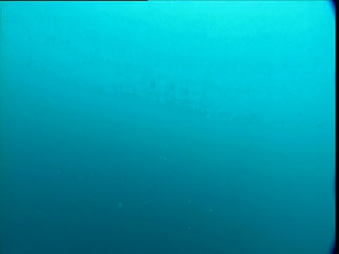穿过蓝色的海水，巴拿马视频下载