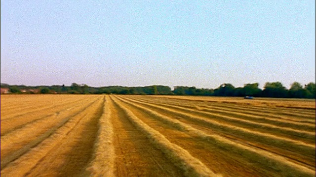 在英国伯克郡的Shottesbrooke，与农民在越野车辆上低空俯瞰金色的燕麦田视频素材