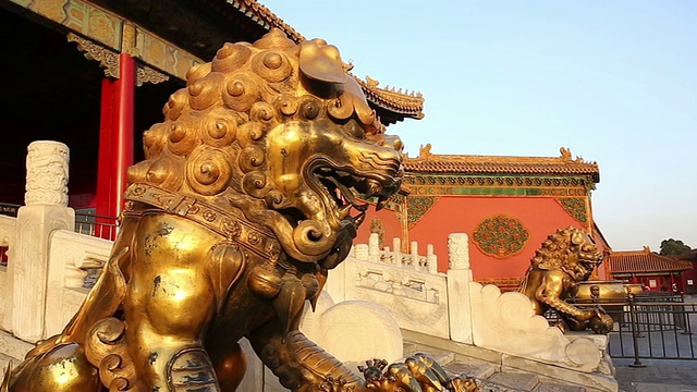 中国北京紫禁城的大狮子雕像。视频素材
