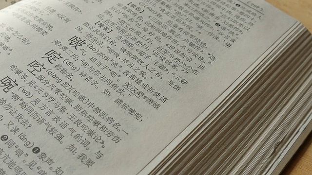 开放的中国字典视频下载