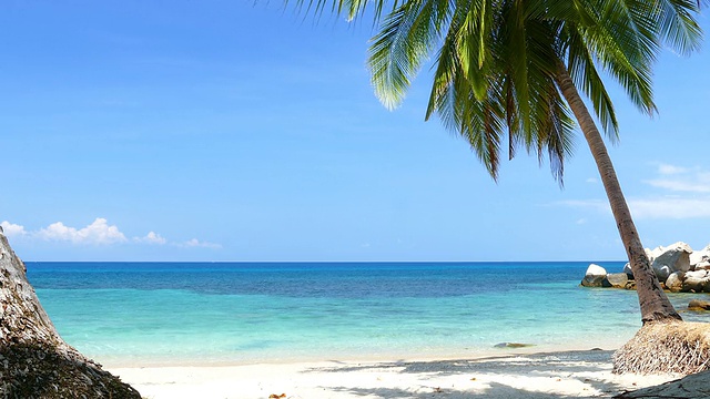 天堂海滩与蓝色的绿松石海和椰子树视频购买