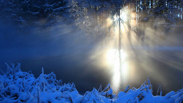 冬日的阳光洒在小湖面上视频下载