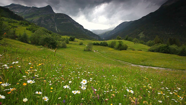 奥地利steeg- tirol附近的春天草地，有着引人注目的天空视频下载