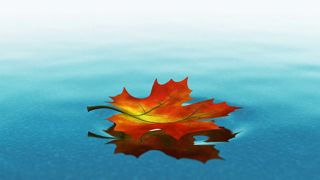 秋叶落在清澈的水面上视频下载