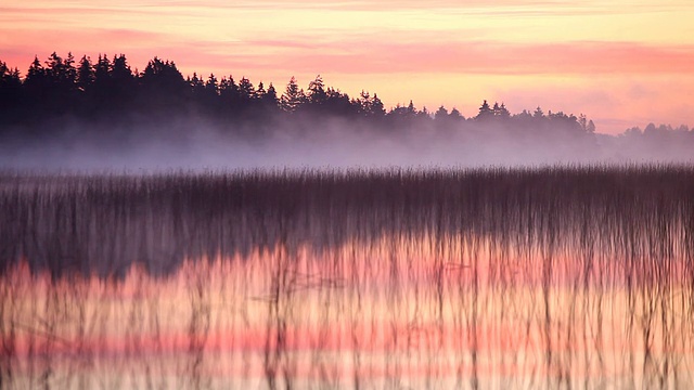 德国巴伐利亚州班瓦德湖的晨雾视频下载