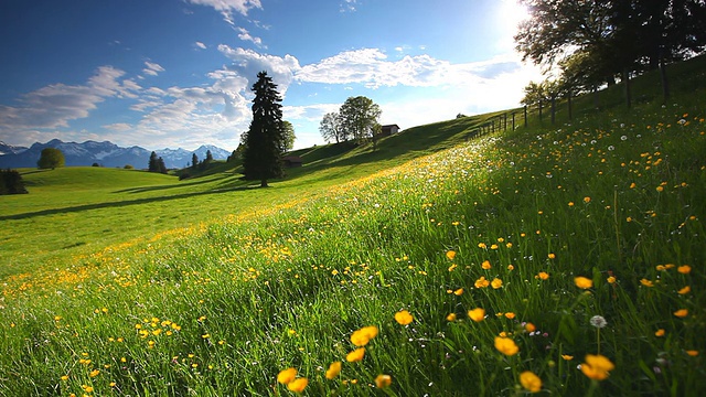 Cloudscape与盛开的夏季草地在巴伐利亚，德国视频下载