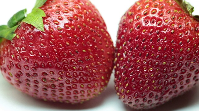 草莓视频下载