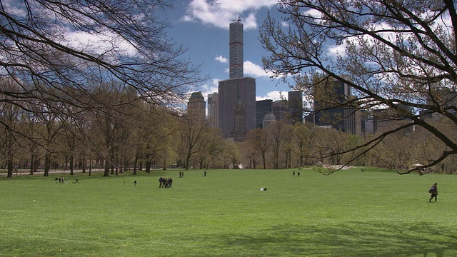 春日，人们在中央公园开阔的绿色草坪上视频素材