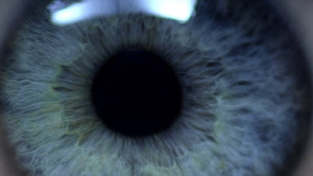 人類的眼睛視頻素材