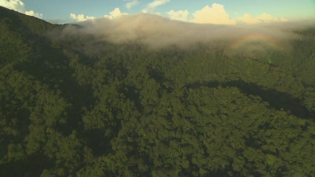 云中有圆形彩虹的森林山坡上空。视频素材