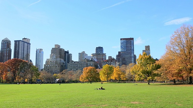 美国纽约Sheep Meadow的秋色树和曼哈顿天际线视频素材