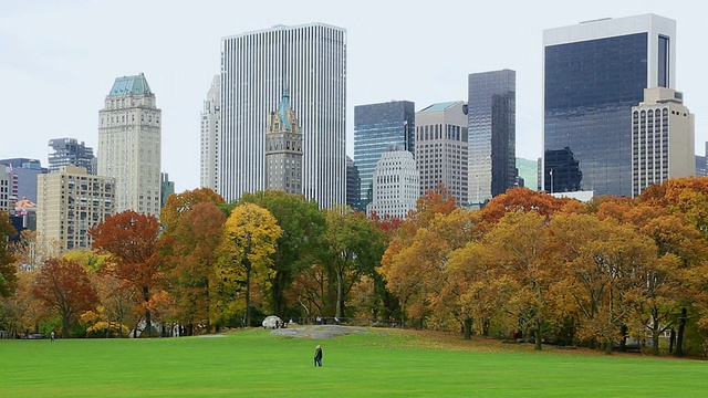 美国纽约Sheep Meadow的秋色树和曼哈顿天际线视频素材