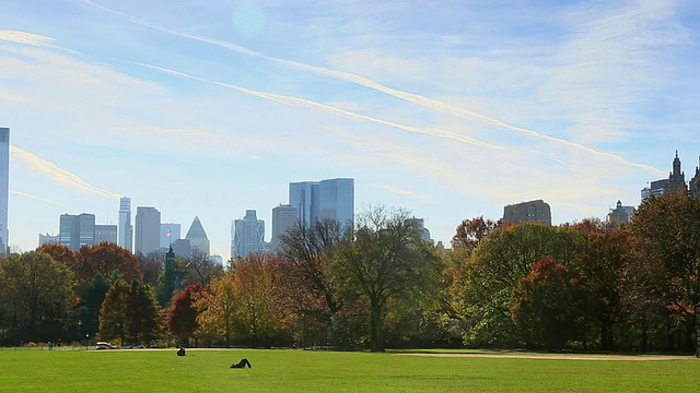 美国纽约大草坪上的秋色树木、曼哈顿的天际线和云雾视频素材