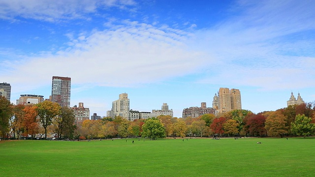 美国纽约Sheep Meadow的秋季彩色树木和中央公园西部住宅视频素材