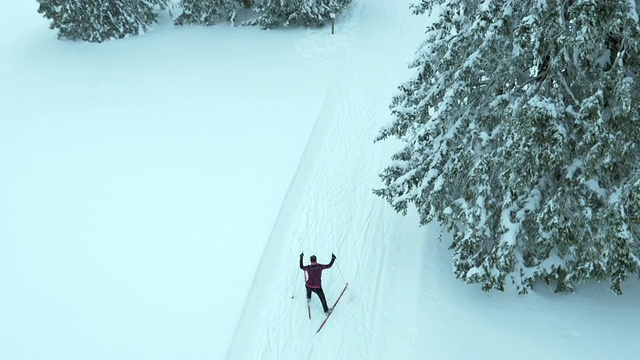 空中的年轻女子在树林中越野滑雪视频下载