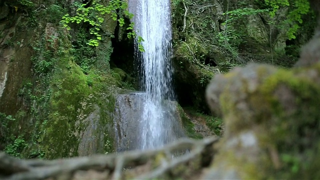 瀑布在森林视频素材