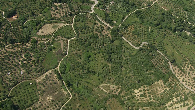 WS鸟瞰图橄榄林附近的奥林匹亚/伯罗奔尼撒，希腊视频素材