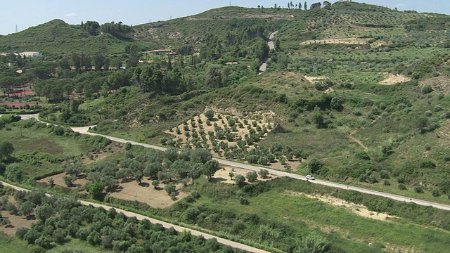 鸟瞰图橄榄林与道路附近的奥林匹亚/奥林匹亚，伯罗奔尼撒，希腊视频素材